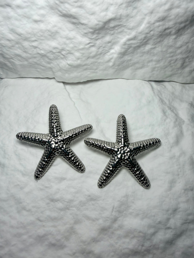 Silver Earrings